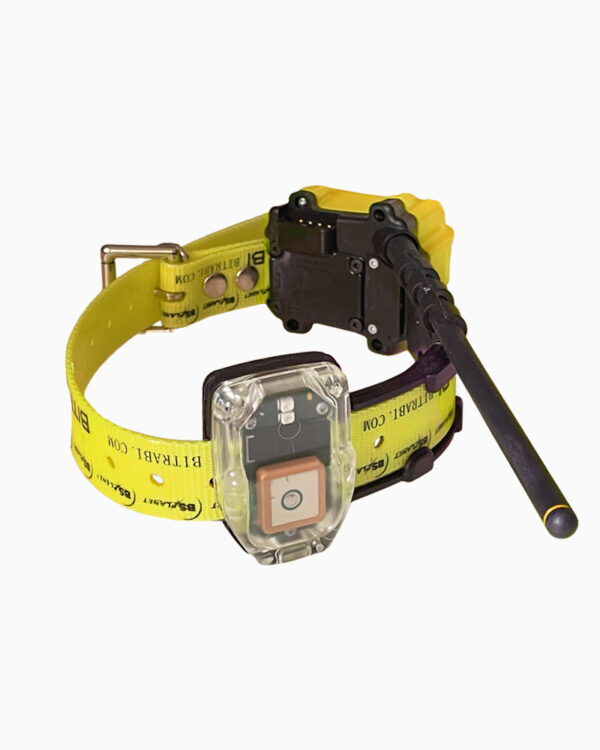 Bitrabi Mito 5100 Pro Radyolu Sesli Sinyalli (Beeper) GNSS Takip Tasması