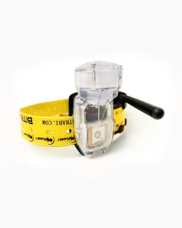 Bitrabi Mito 5100 Pro Radyolu Sesli Sinyalli (Beeper) GNSS Takip Tasması